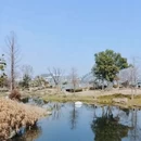 上海旅游 缩略图 5