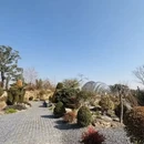 上海旅游 缩略图 4