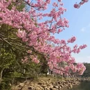 上海旅游 缩略图 12