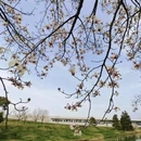 上海旅游 缩略图 11