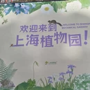 上海旅游 缩略图 18