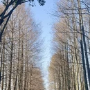 上海旅游 缩略图 10