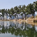 上海旅游 缩略图 8