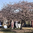 上海旅游 缩略图 6