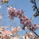 上海旅游 缩略图 7