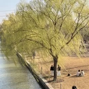 上海旅游 缩略图 4