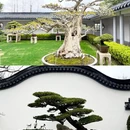 上海旅游 缩略图 6