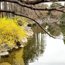 上海旅游 缩略图 9