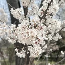 上海旅游 缩略图 7
