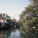 上海旅游 缩略图 11