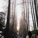上海旅游 缩略图 15