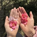 上海旅游 缩略图 6