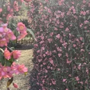 上海旅游 缩略图 10