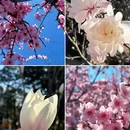 上海旅游 缩略图 1