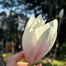 上海旅游 缩略图 3