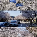 上海旅游 缩略图 1