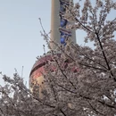 上海旅游 缩略图 3