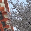 上海旅游 缩略图 4