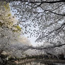 上海旅游 缩略图 9