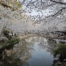 上海旅游 缩略图 10