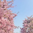 上海旅游 缩略图 4
