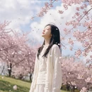 上海旅游 缩略图 9