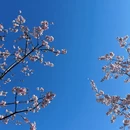 上海旅游 缩略图 8