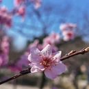 上海旅游 缩略图 10