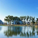 上海旅游 缩略图 14