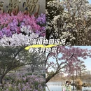上海旅游 缩略图 1