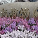 上海旅游 缩略图 9