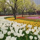 上海旅游 缩略图 1