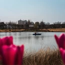 上海旅游 缩略图 7