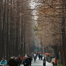 上海旅游 缩略图 10