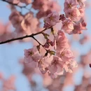 上海旅游 缩略图 7