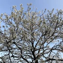 上海旅游 缩略图 10