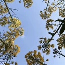 上海旅游 缩略图 15