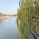 上海旅游 缩略图 16