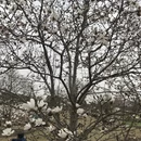 上海旅游 缩略图 6