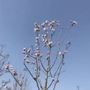 上海旅游 缩略图 7