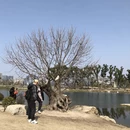 上海旅游 缩略图 9