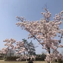 上海旅游 缩略图 11