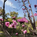 上海旅游 缩略图 6
