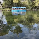 上海旅游 缩略图 5