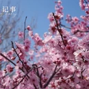上海旅游 缩略图 5