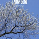 上海旅游 缩略图 6
