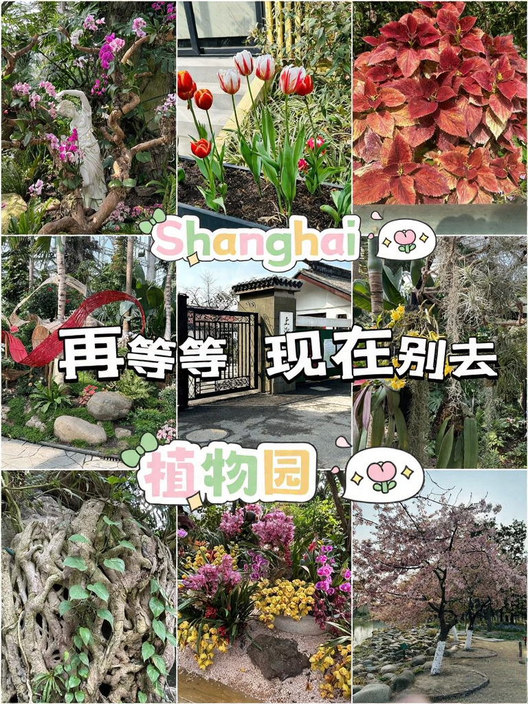 上海旅游
