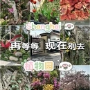 上海旅游 缩略图 1