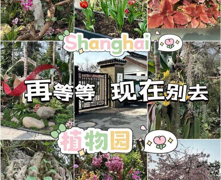 上海旅游 1