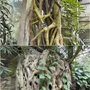 上海旅游 缩略图 6